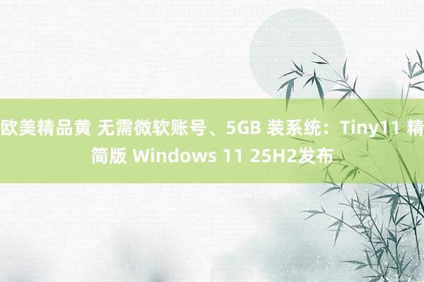 欧美精品黄 无需微软账号、5GB 装系统：Tiny11 精简版 Windows 11 25H2发布